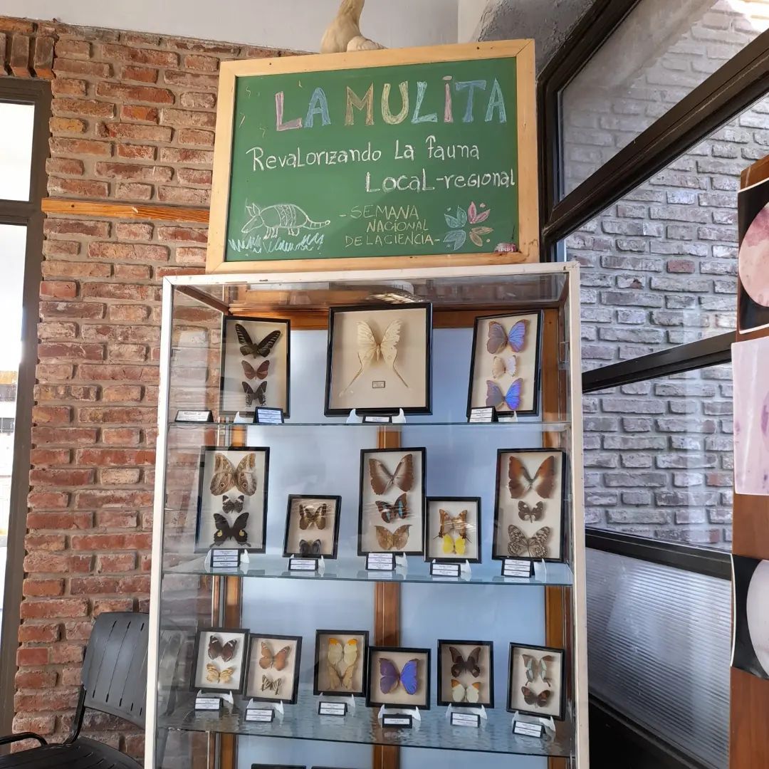 WhatsApp Image 2023-06-14 at 08.44.33