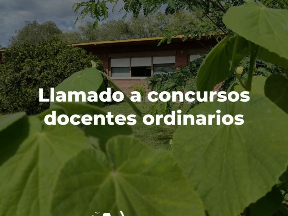 CONCURSOS-ORDINARIOS