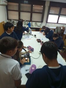 Actividades de La Mulita