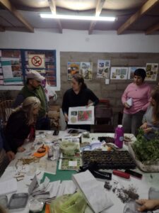 Actividad de extensión