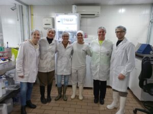 Visita