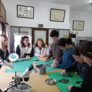 Visita al Laboratorio de Semillas y Granos