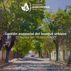 En busca del nuevo árbol En busca del nuevo árbol