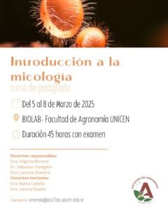 Curso de Posgrado